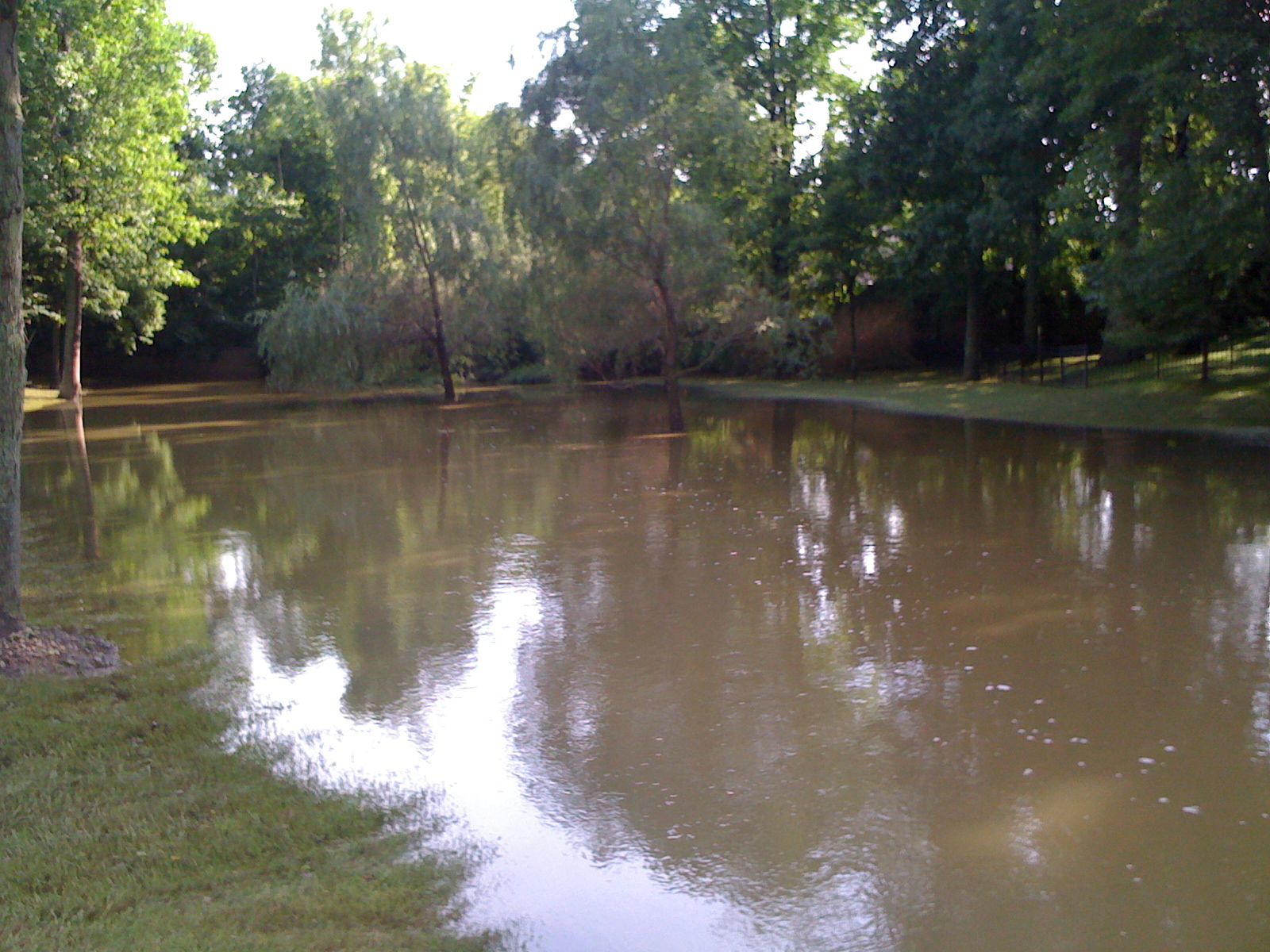 Prospect Flooding 1